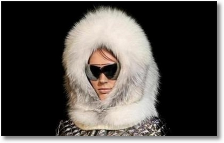just-cavalli