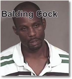 dmx-pitbulls-cruelty