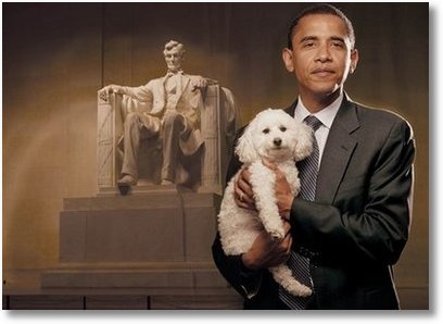 obama-dog