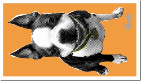 FTS_BcardTemplate